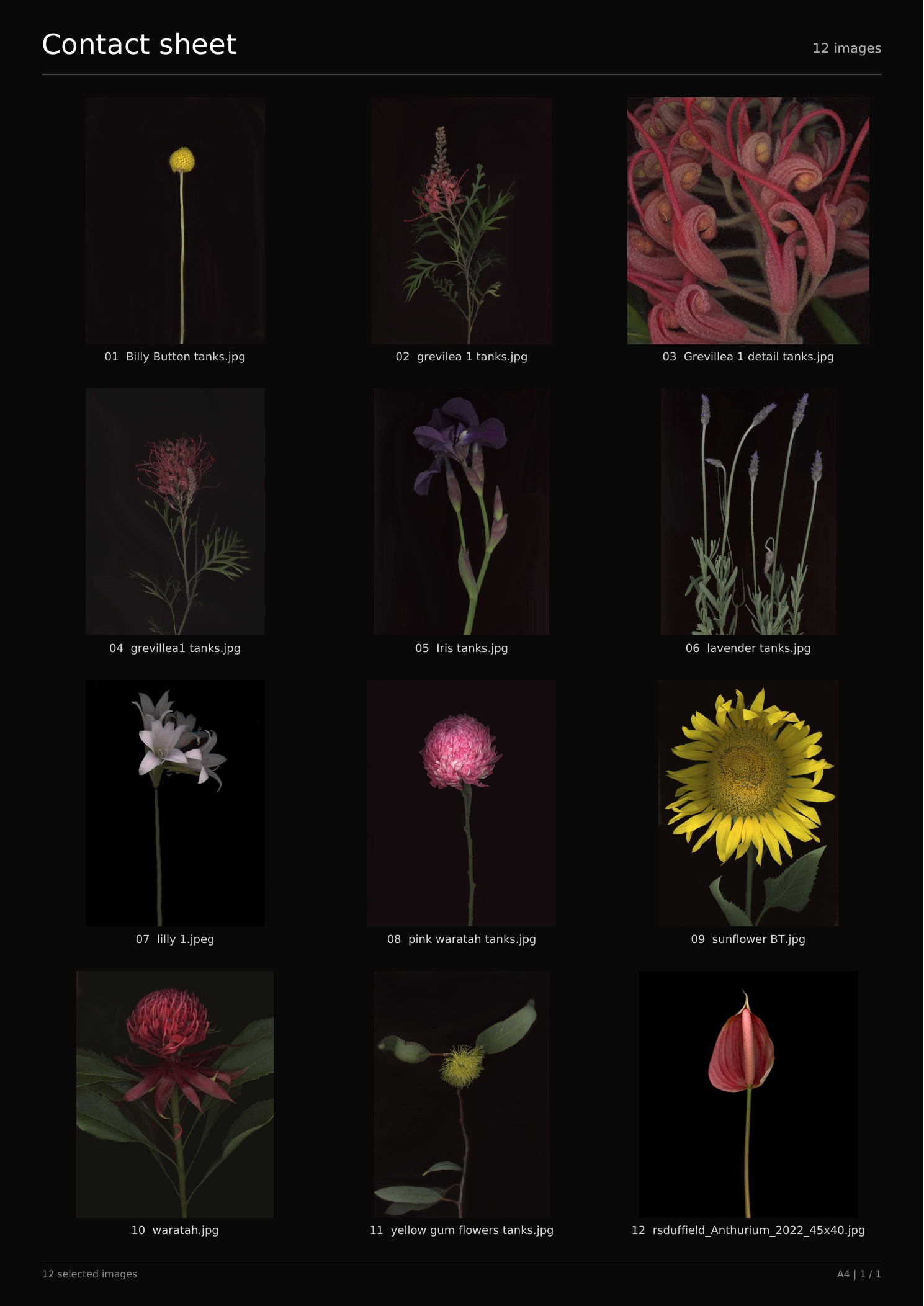 Contact sheet showing twelve plant works in three columns and four rows.